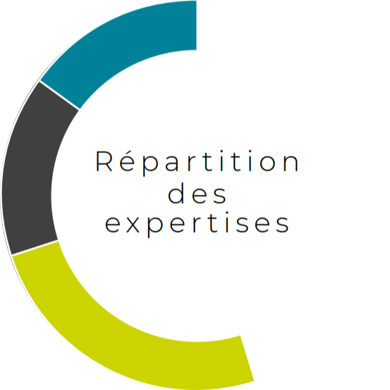 graphique repartition des expertises